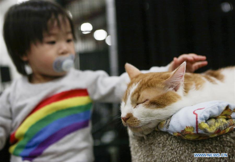 CANADA-ABBOTSFORD-PET LOVER SHOW