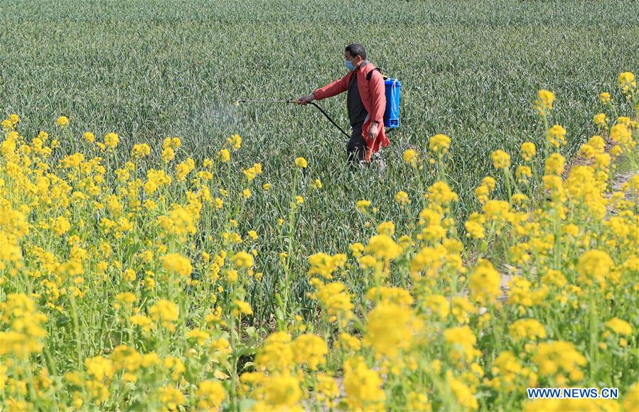 CHINA-AGRICULTURAL PRODUCTION (CN)
