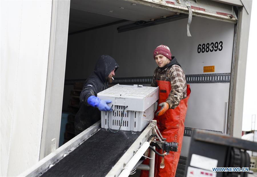 U.S.-MAINE-STONINGTON-LOBSTER INDUSTRY-CHINESE MARKET