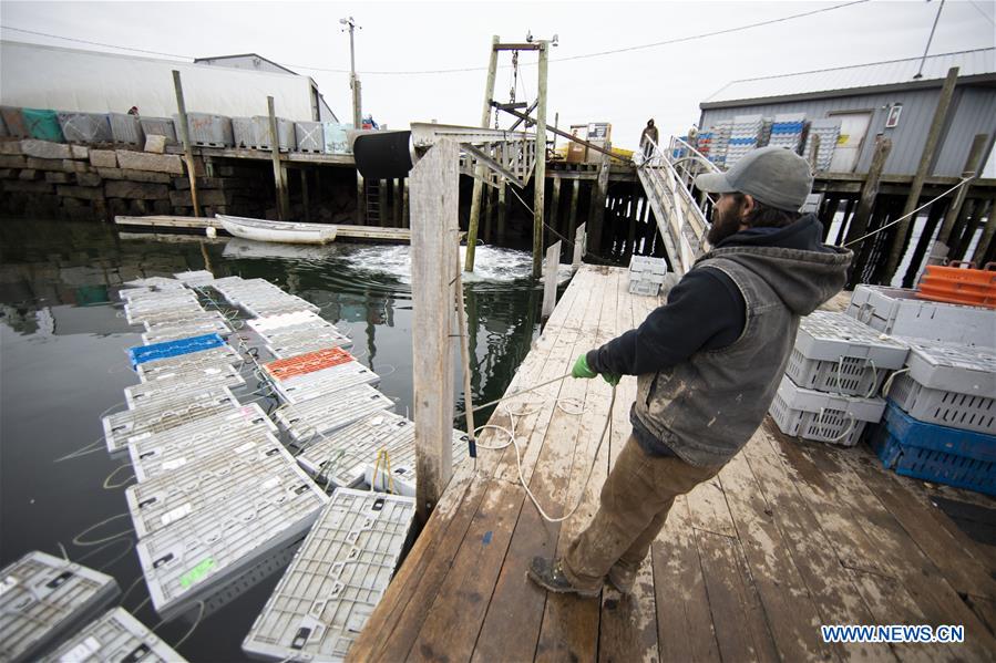 U.S.-MAINE-STONINGTON-LOBSTER INDUSTRY-CHINESE MARKET