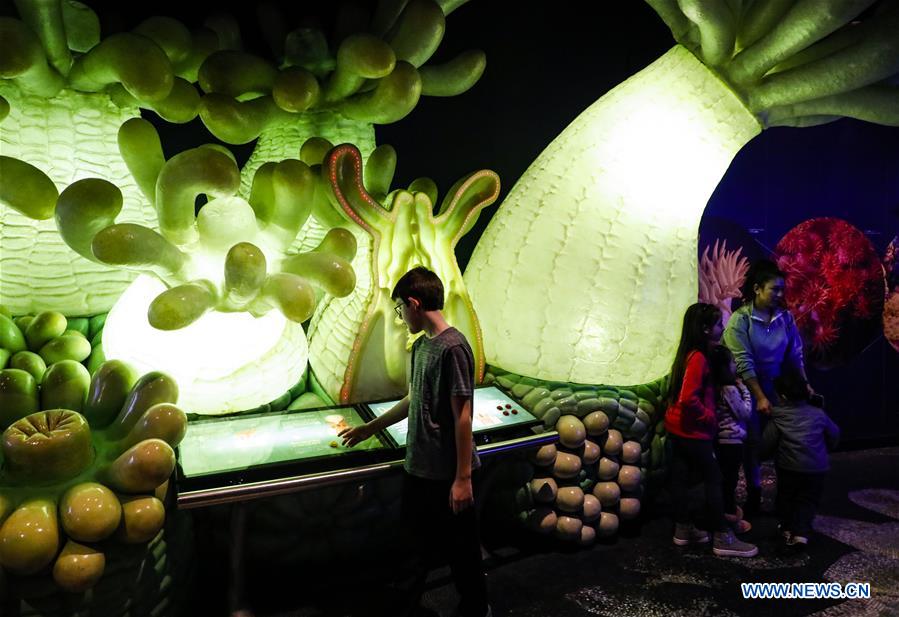 U.S.-CHICAGO-SHEDD AQUARIUM