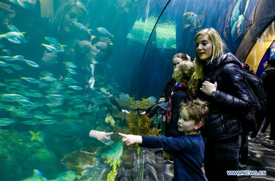 U.S.-CHICAGO-SHEDD AQUARIUM
