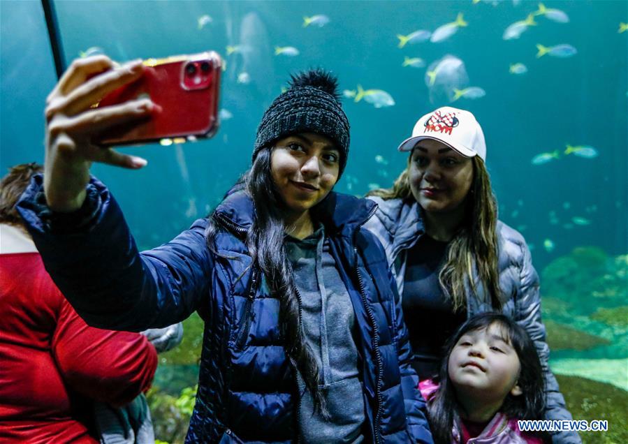 U.S.-CHICAGO-SHEDD AQUARIUM