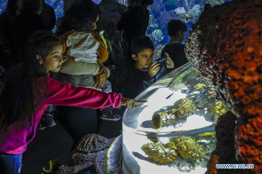 U.S.-CHICAGO-SHEDD AQUARIUM