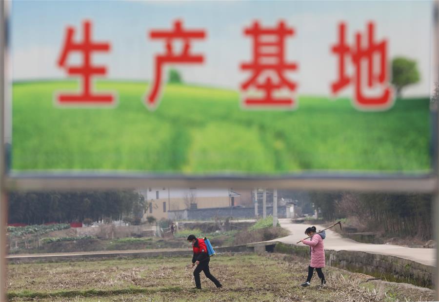CHINA-SPRING PLOUGHING-AGRICULTURAL PRODUCTION (CN)