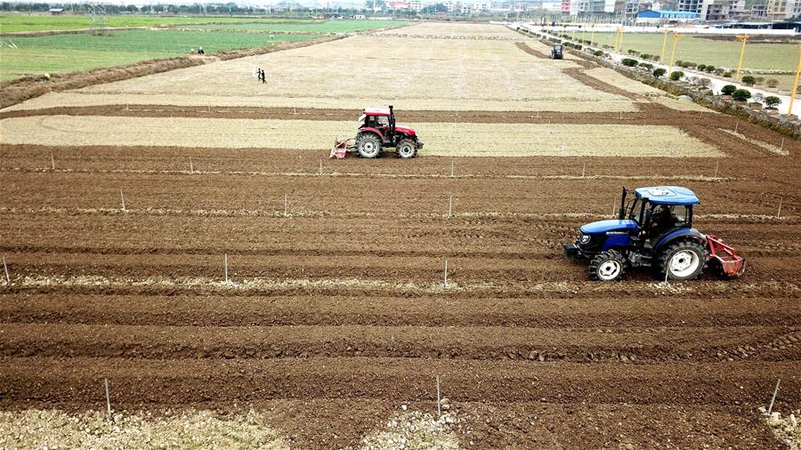 CHINA-SPRING PLOUGHING-AGRICULTURAL PRODUCTION (CN)