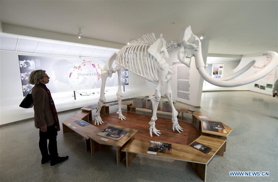 U.S.-NEW YORK-GUGGENHEIM MUSEUM-EXHIBITION