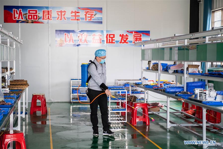 CHINA-HUNAN-TAOYUAN-NCP-POVERTY ALLEVIATION WORKSHOP-RESUMPTION (CN)