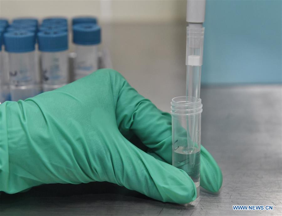 CHINA-SICHUAN-COVID-19-NUCLEIC ACID TEST CHIP (CN)