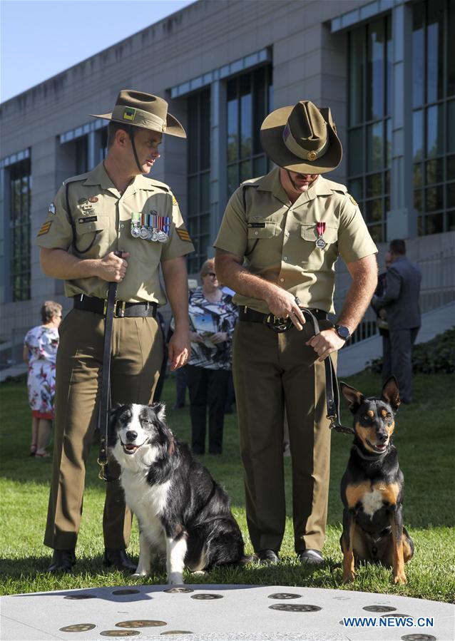 AUSTRALIA-CANBERRA-MEMORIAL-MILITARY WORKING DOGS