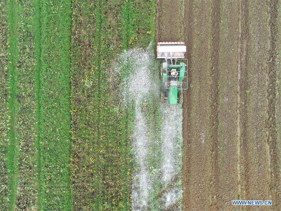 CHINA-HUNAN-SPRING PLOUGHING(CN)