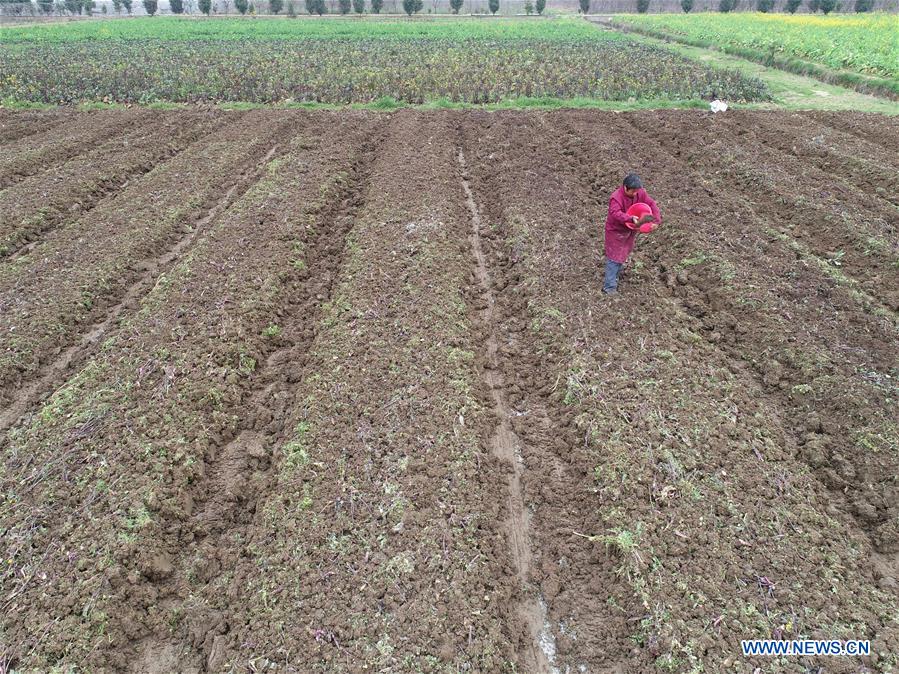 CHINA-HUNAN-SPRING PLOUGHING(CN)