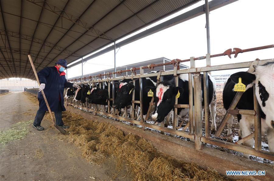 #CHINA-HENAN-WUZHI-LIVESTOCK-POULTRY-PRODUCTION (CN)