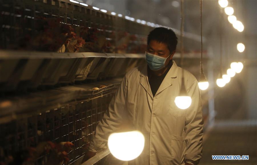 #CHINA-HENAN-WUZHI-LIVESTOCK-POULTRY-PRODUCTION (CN)