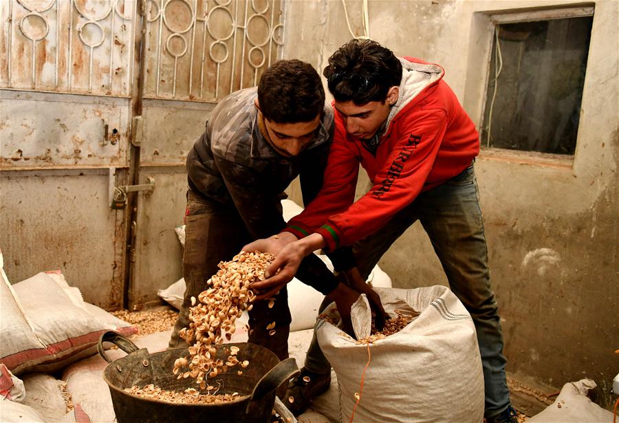 SYRIA-HAMA-NUTSHELL-HEATER