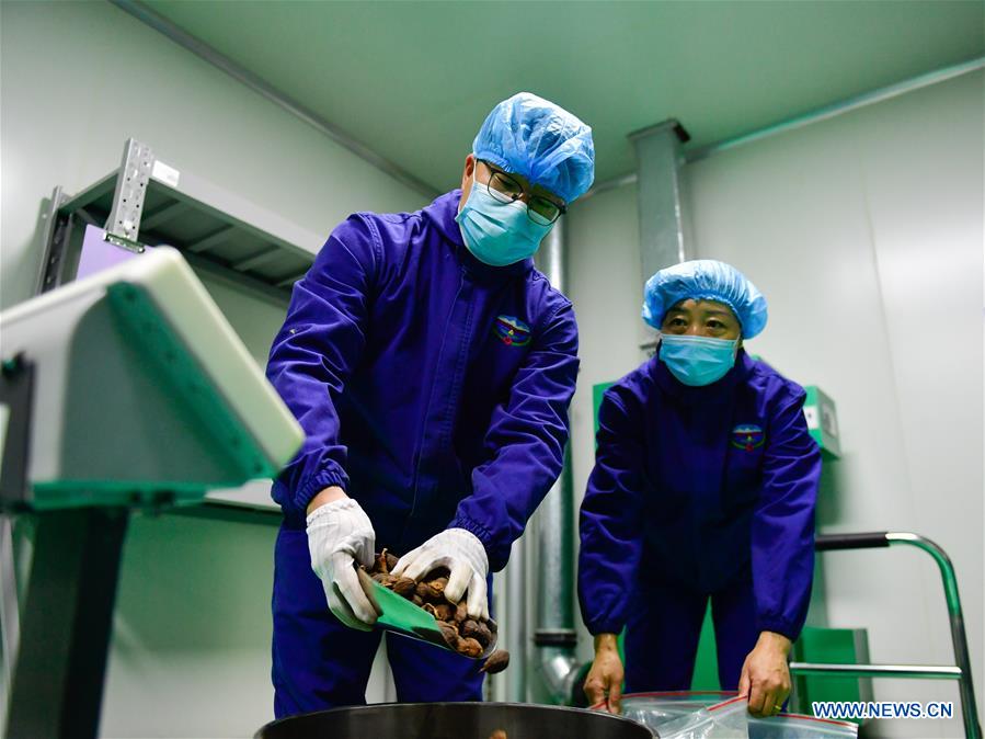 CHINA-QINGHAI-XINING-COVID-19-TIBETAN MEDICINE (CN)