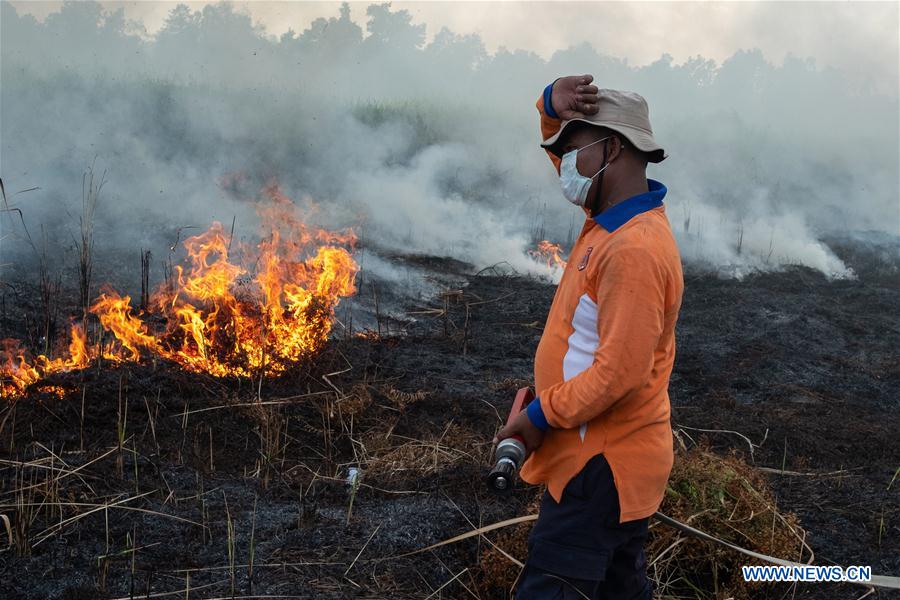 INDONESIA-RIAU-PEATLAND FIRE
