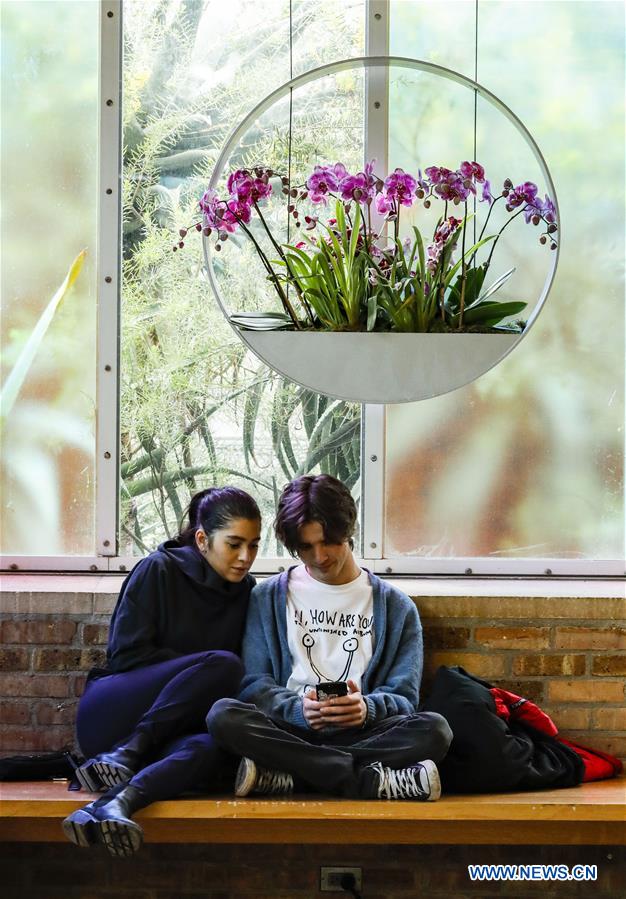 U.S.-GLENCOE-CHICAGO BOTANIC GARDEN-ORCHID SHOW 