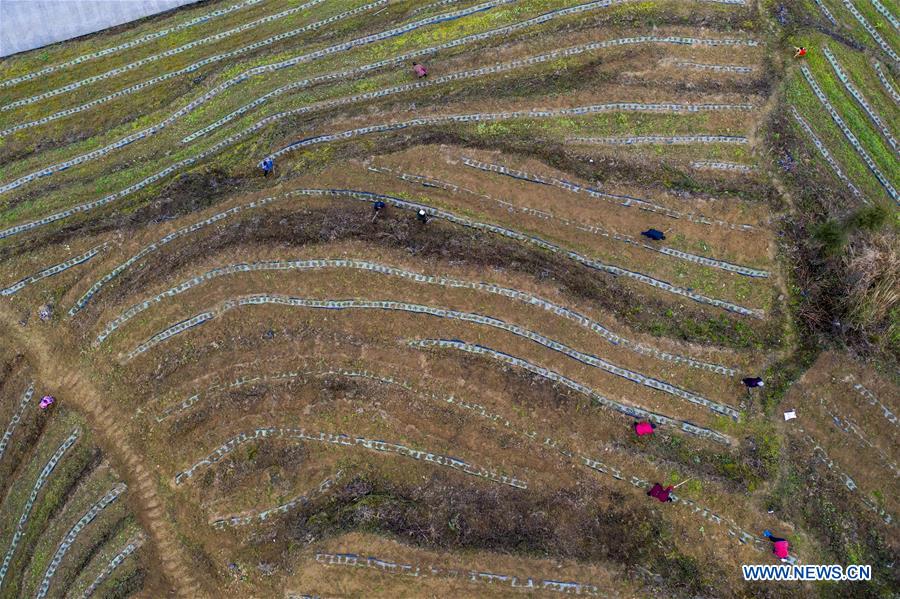 CHINA-CHONGQING-YOUYANG-PRODUCTION RESUMPTION (CN)