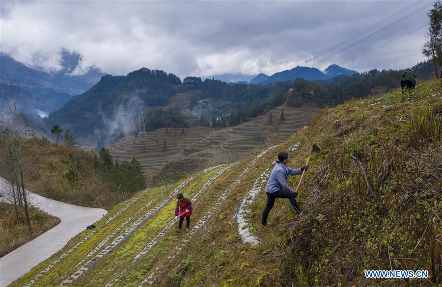 CHINA-CHONGQING-YOUYANG-PRODUCTION RESUMPTION (CN)