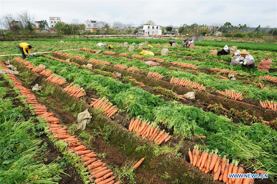 #CHINA-SPRING-FARMING (CN)