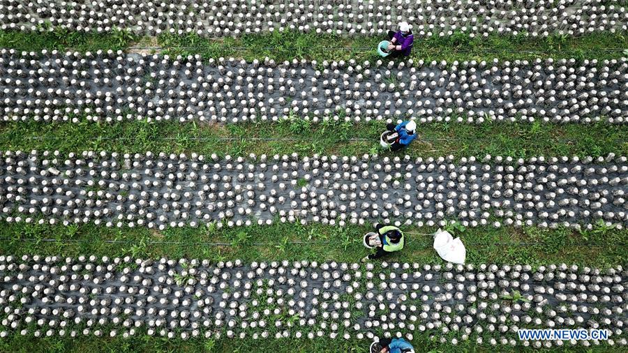 #CHINA-SPRING-FARMING (CN)