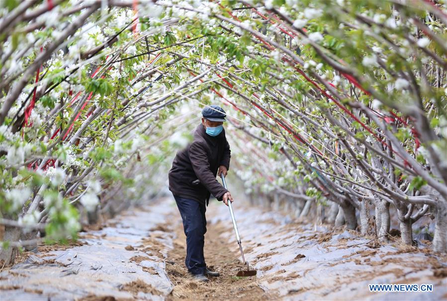 #CHINA-SPRING-FARMING (CN)