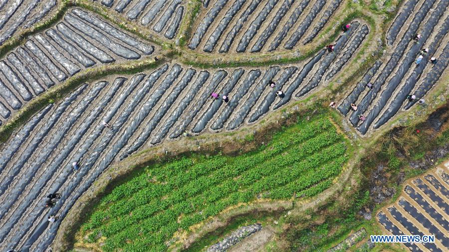 #CHINA-SPRING-FARMING (CN)