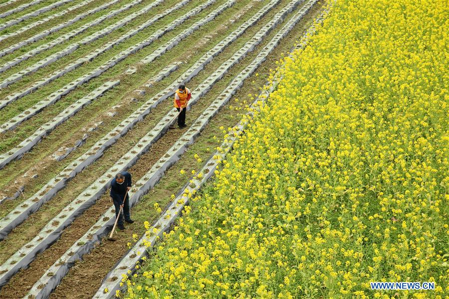 #CHINA-SPRING-FARMING (CN)