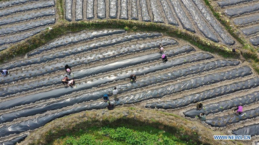 #CHINA-SPRING-FARMING (CN)