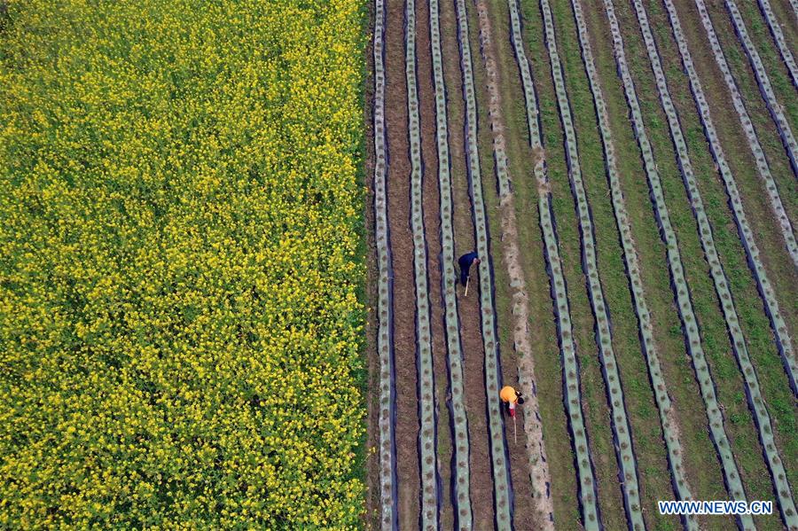 #CHINA-SPRING-FARMING (CN)