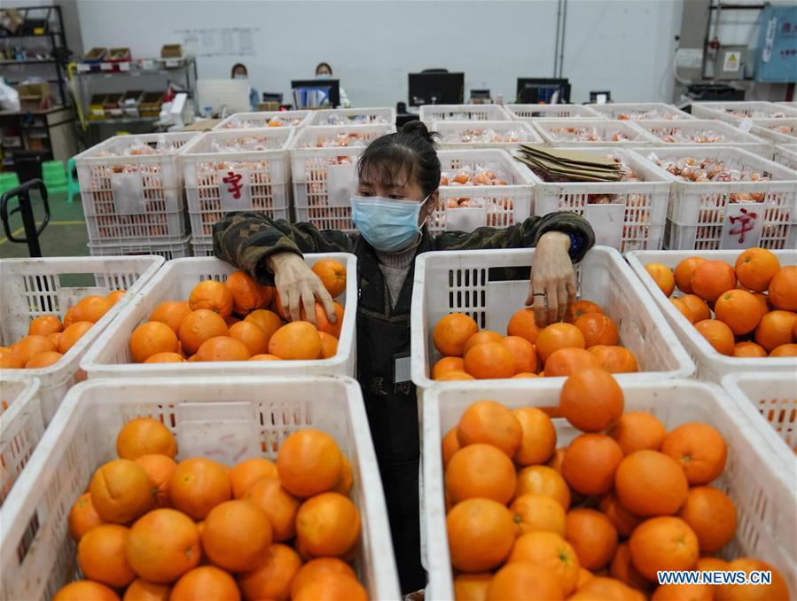 CHINA-CHONGQING-LOGISTICS-AGRICULTURAL PRODUCTS (CN)