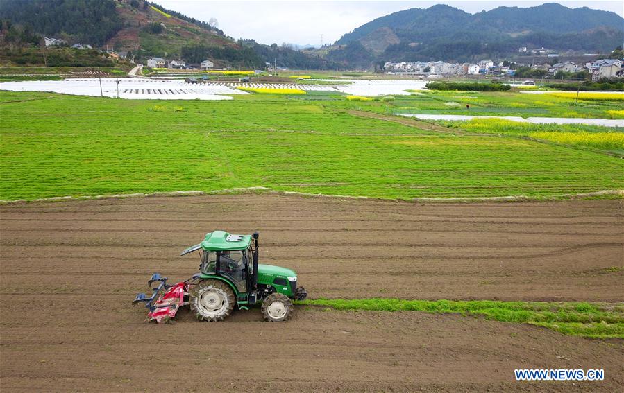 CHINA-GUIZHOU-SPRING-AGRICULTURE (CN)