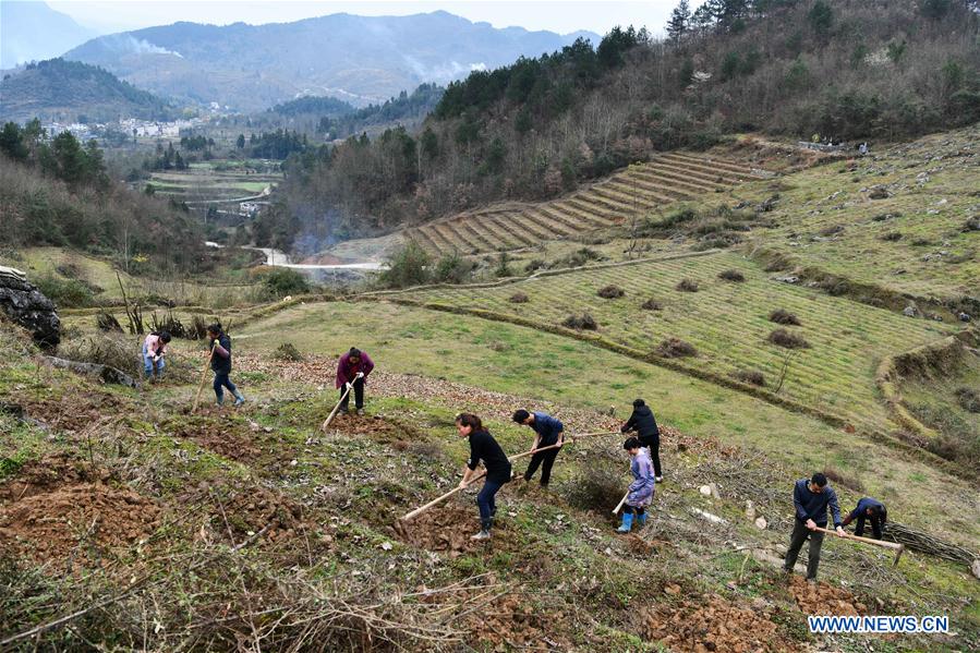 CHINA-GUIZHOU-SPRING-AGRICULTURE (CN)