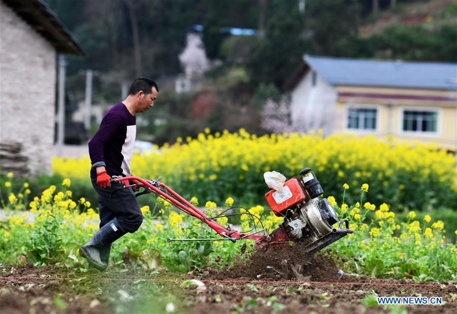 CHINA-GUIZHOU-SPRING-AGRICULTURE (CN)