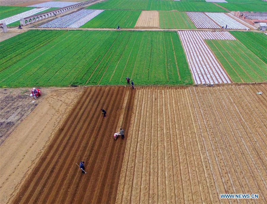 In pics spring farming acorss China Xinhua English.news.cn