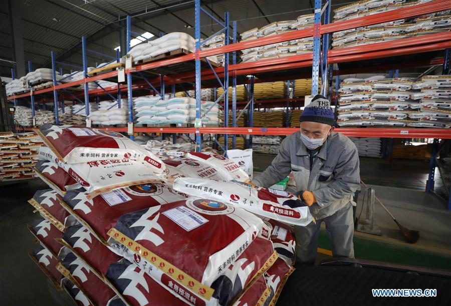 CHINA-LIAONING-SHENYANG-STOCK FARMING-SUPPLY (CN)