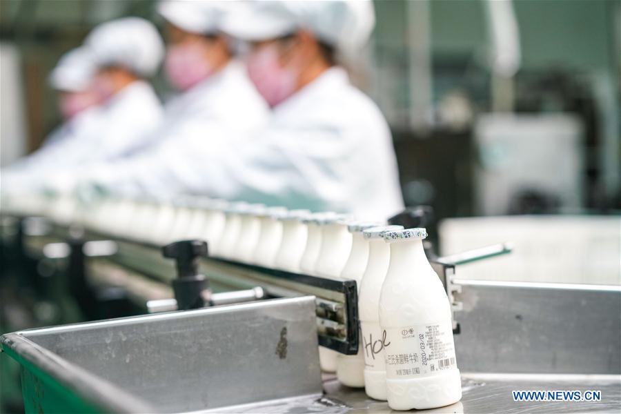 CHINA-HEILONGJIANG-HARBIN-DAIRY PRODUCTS-NOVEL CORONAVIRUS-SUPPLY (CN)