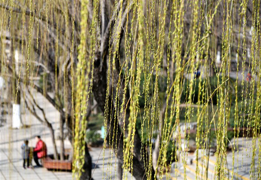 CHINA-SHANDONG-SPRING-PARK (CN)