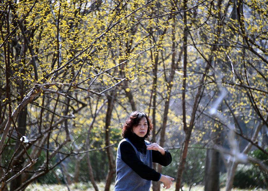 CHINA-SHANDONG-SPRING-PARK (CN)