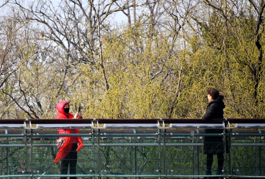 CHINA-SHANDONG-SPRING-PARK (CN)