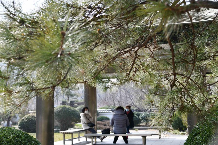 CHINA-SHANDONG-SPRING-PARK (CN)