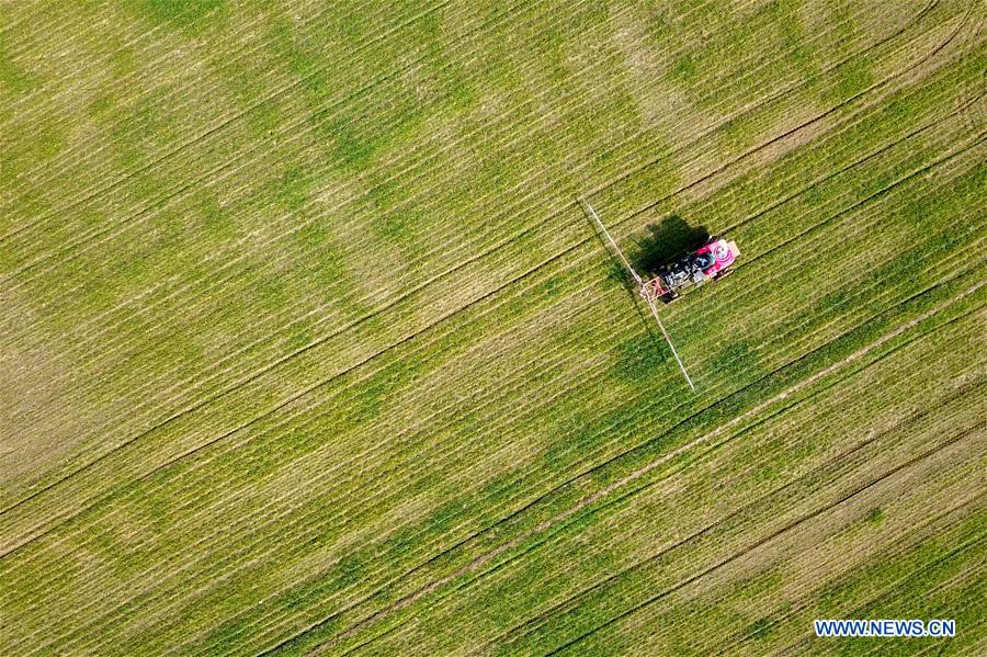 CHINA-HEBEI-SPRING-FARM WORK (CN)
