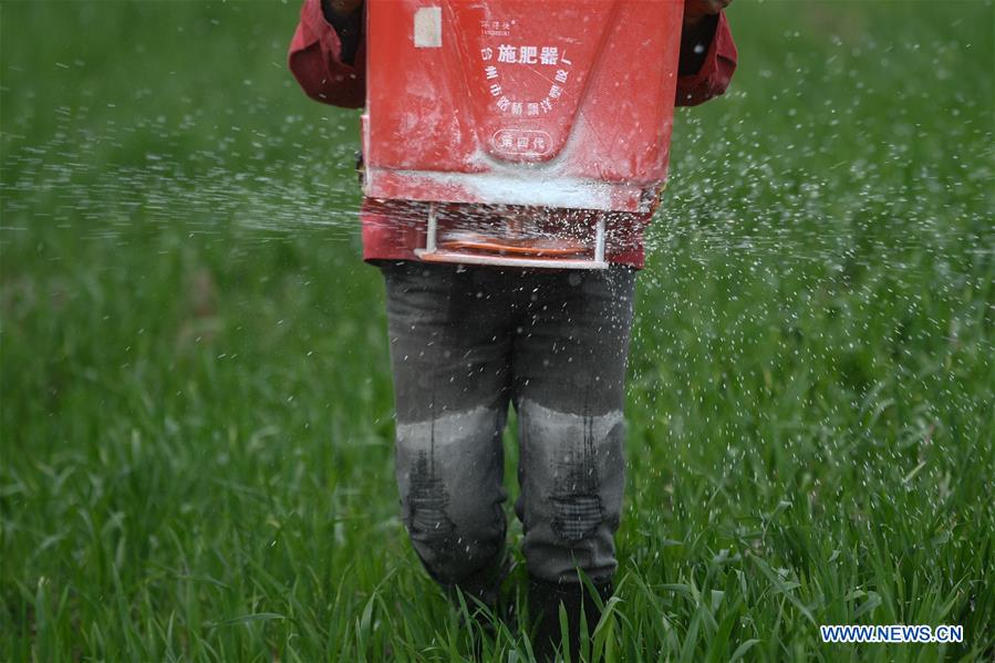 CHINA-ZHEJIANG-HUZHOU-AGRICULTURE (CN)