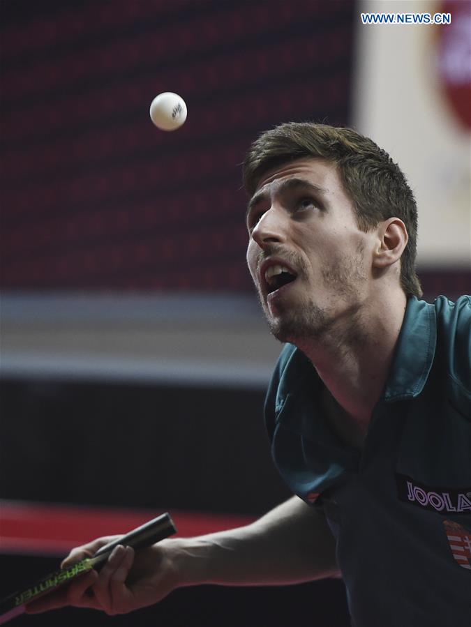 (SP)QATAR-DOHA-TABLE TENNIS-QATAR OPEN