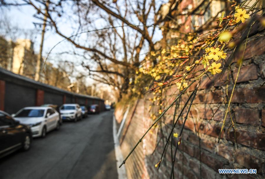 CHINA-BEIJING-EARLY SPRING (CN)