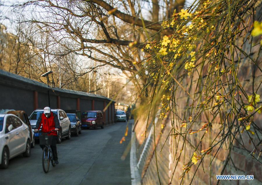 CHINA-BEIJING-EARLY SPRING (CN)