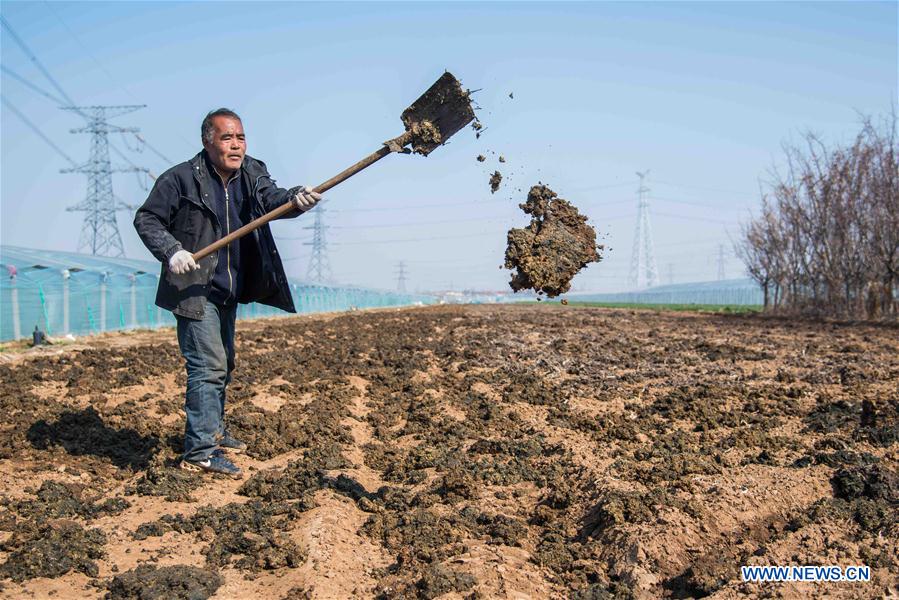 #CHINA-EARLY SPRING-FARMING (CN)