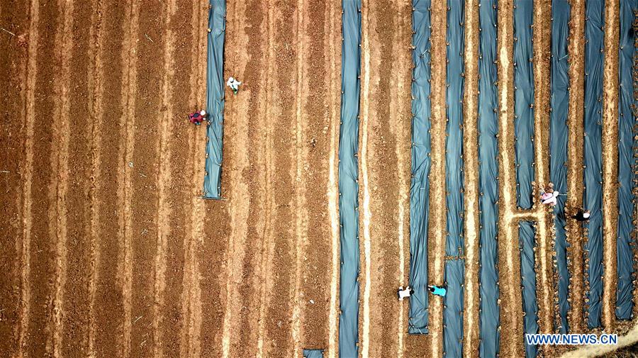 #CHINA-EARLY SPRING-FARMING (CN)