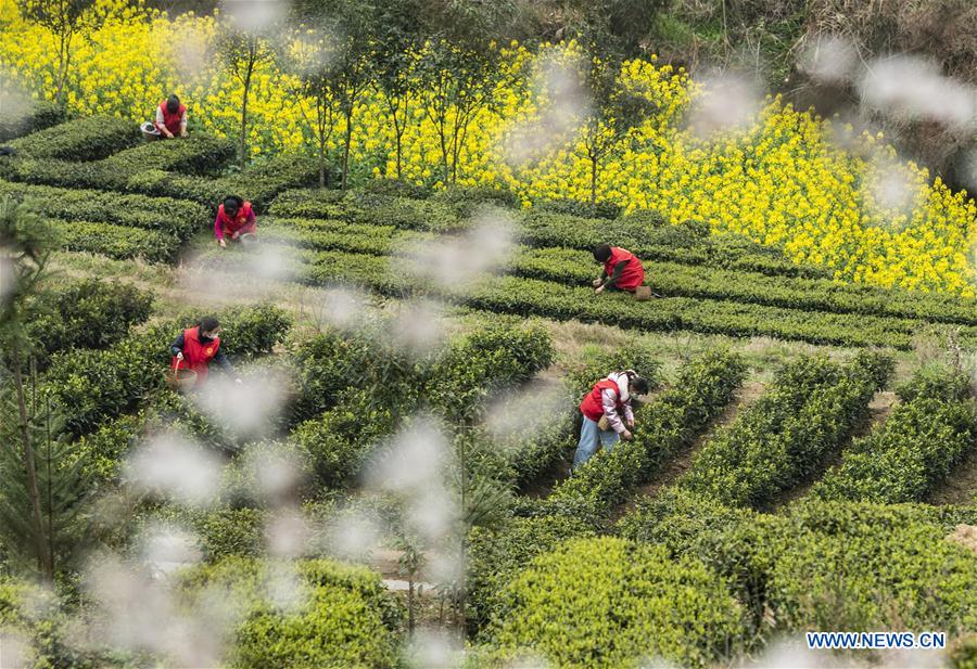 #CHINA-EARLY SPRING-FARMING (CN)